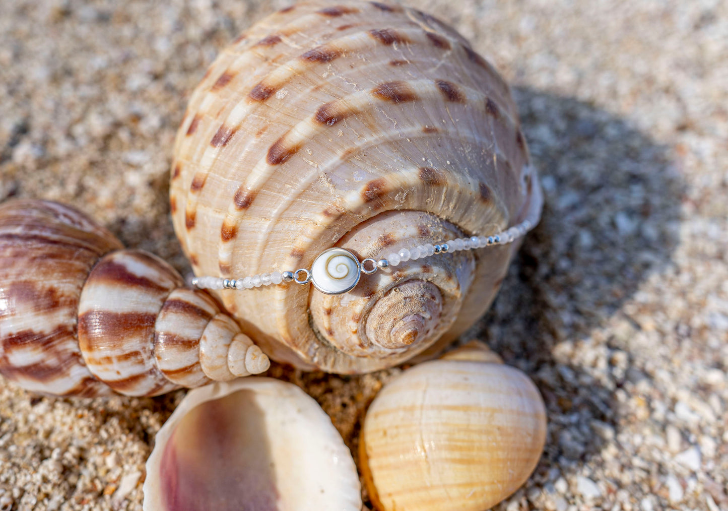 adjustable anklet with moonstone and operculum