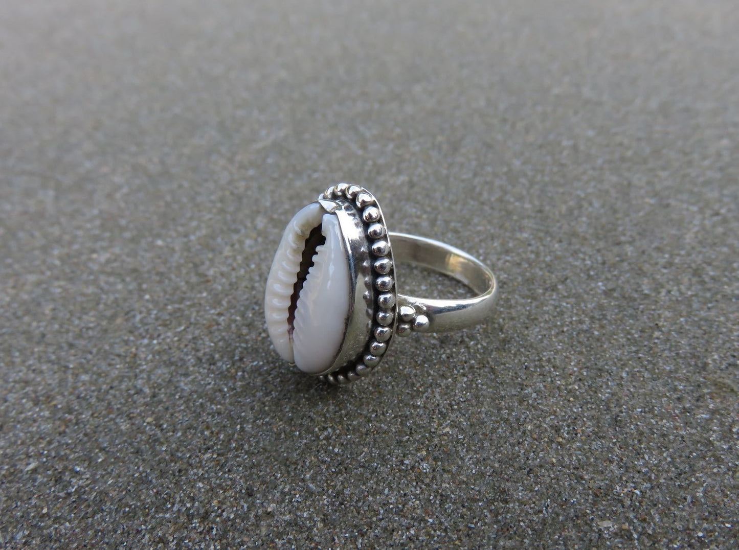 Ring with cowrie shell decorated with small silver beads