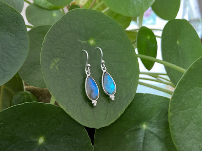 Simple earrings made of silver with faceted labradorite stone in the shape of a teardrop 